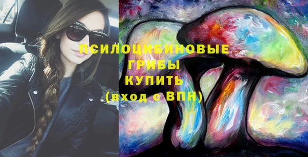 MESCALINE Покачи