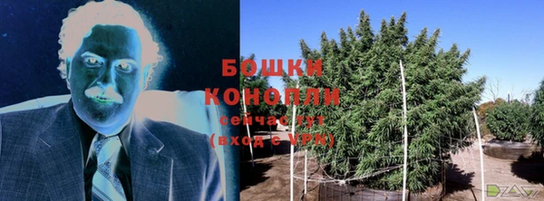 СК Волосово