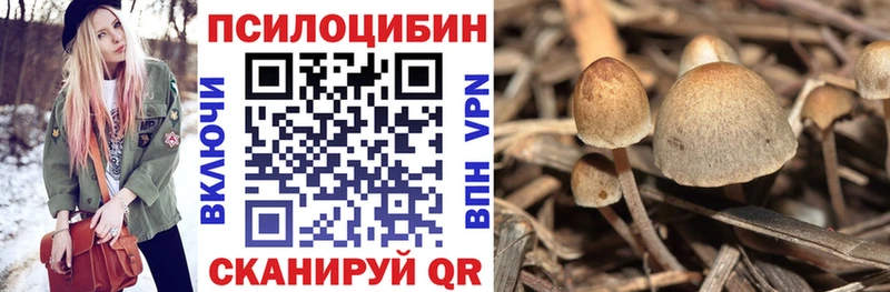 маркетплейс формула  Галич  Псилоцибиновые грибы ЛСД 